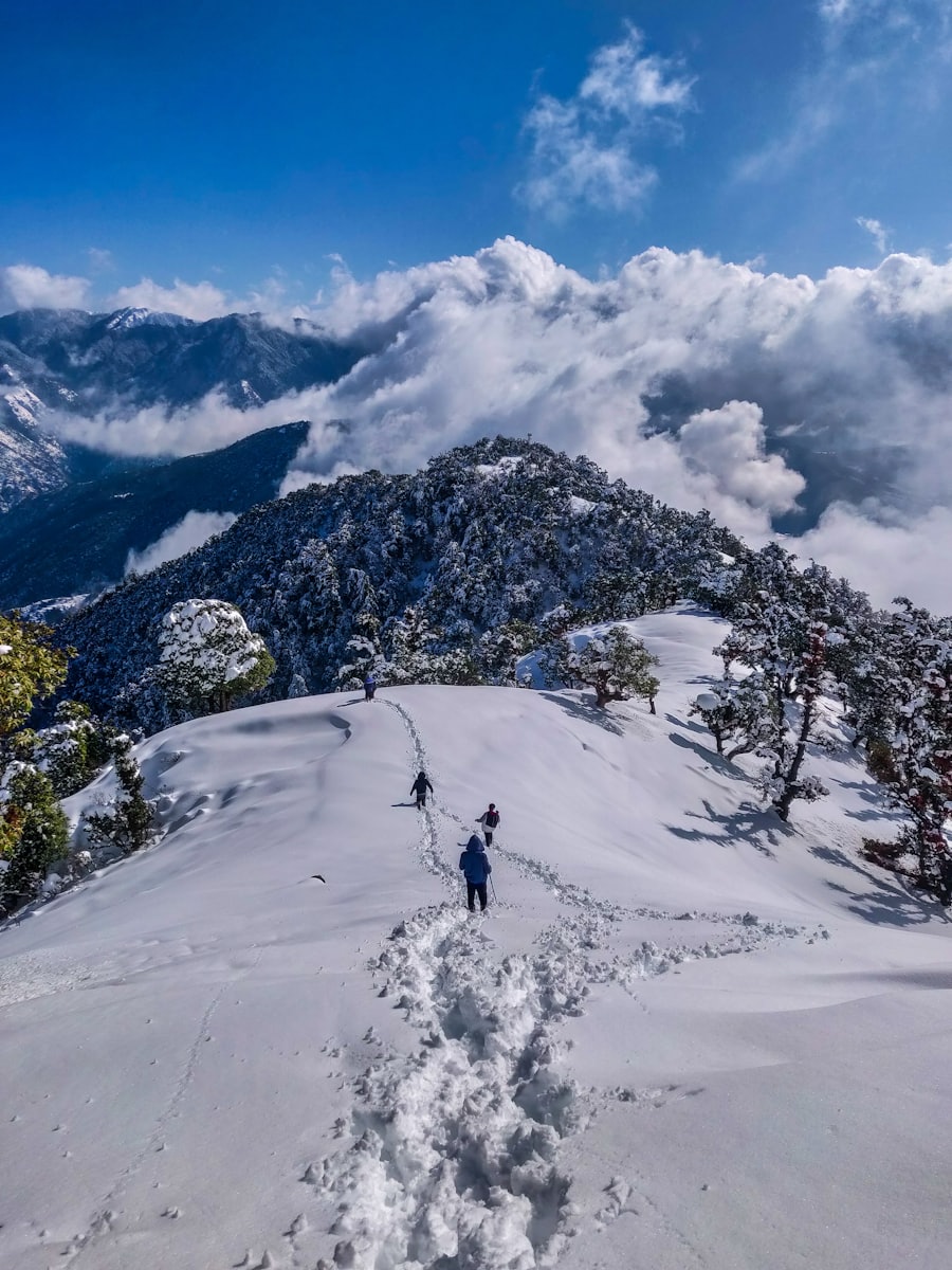 Manali Adventure Getaway