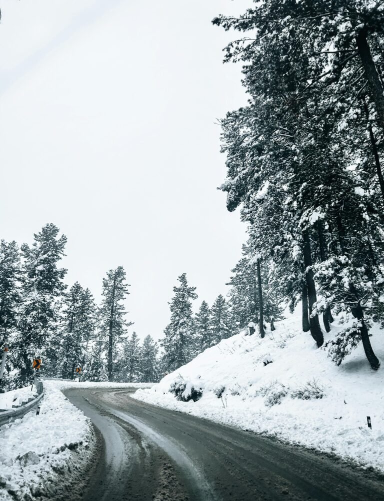 pexels-haziqfarooqi-35287231