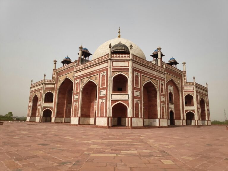 pexels-majjatantu-8987280 (Custom)